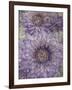 Ultraviolet-Collezione Botanica-Framed Giclee Print