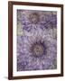 Ultraviolet-Collezione Botanica-Framed Giclee Print