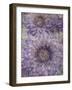 Ultraviolet-Collezione Botanica-Framed Giclee Print