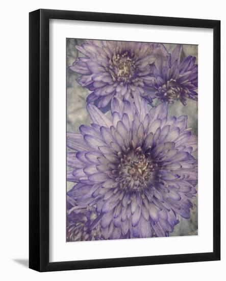 Ultraviolet-Collezione Botanica-Framed Giclee Print