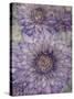 Ultraviolet-Collezione Botanica-Stretched Canvas