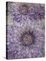 Ultraviolet-Collezione Botanica-Stretched Canvas