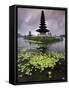 Ulun Danu Temple, Bali, Indonesia-Gavriel Jecan-Framed Stretched Canvas