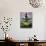 Ulun Danu Temple, Bali, Indonesia-Gavriel Jecan-Photographic Print displayed on a wall