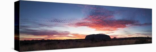 Uluru Kata Tjuta National Park, Northern Territory, Australia. Uluru at Sunrise-Matteo Colombo-Stretched Canvas