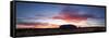 Uluru Kata Tjuta National Park, Northern Territory, Australia. Uluru at Sunrise-Matteo Colombo-Framed Stretched Canvas