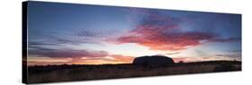 Uluru Kata Tjuta National Park, Northern Territory, Australia. Uluru at Sunrise-Matteo Colombo-Stretched Canvas