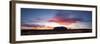 Uluru Kata Tjuta National Park, Northern Territory, Australia. Uluru at Sunrise-Matteo Colombo-Framed Photographic Print