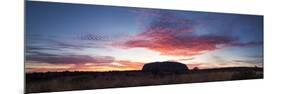 Uluru Kata Tjuta National Park, Northern Territory, Australia. Uluru at Sunrise-Matteo Colombo-Mounted Photographic Print