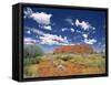 Uluru, Northern Territory, Australia-Doug Pearson-Framed Stretched Canvas