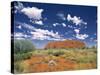 Uluru, Northern Territory, Australia-Doug Pearson-Stretched Canvas