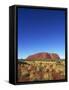 Uluru, Uluru-Kata Tjuta National Park, Northern Territory, Australia, Pacific-Pitamitz Sergio-Framed Stretched Canvas