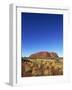 Uluru, Uluru-Kata Tjuta National Park, Northern Territory, Australia, Pacific-Pitamitz Sergio-Framed Photographic Print