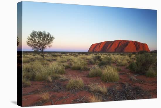 Uluru, Uluru-Kata Tjuta National Park, Northern Territory, Australia, Pacific-Ian Trower-Stretched Canvas