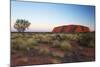 Uluru, Uluru-Kata Tjuta National Park, Northern Territory, Australia, Pacific-Ian Trower-Mounted Photographic Print