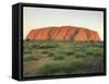 Uluru, Uluru-Kata Tjuta National Park, Unesco World Heritage Site, Northern Territory, Australia-Julia Bayne-Framed Stretched Canvas