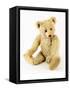 Ulysses, a White Steiff Teddy Bear, circa 1920-Steiff-Framed Stretched Canvas