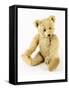 Ulysses, a White Steiff Teddy Bear, circa 1920-Steiff-Framed Stretched Canvas