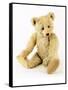 Ulysses, a White Steiff Teddy Bear, circa 1920-Steiff-Framed Stretched Canvas