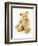 Ulysses, a White Steiff Teddy Bear, circa 1920-Steiff-Framed Premium Giclee Print