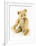 Ulysses, a White Steiff Teddy Bear, circa 1920-Steiff-Framed Giclee Print