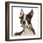 Ulysses Watercolor-Avery Tillmon-Framed Art Print