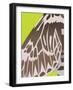 Uma by day-Belen Mena-Framed Giclee Print