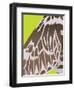 Uma by day-Belen Mena-Framed Giclee Print