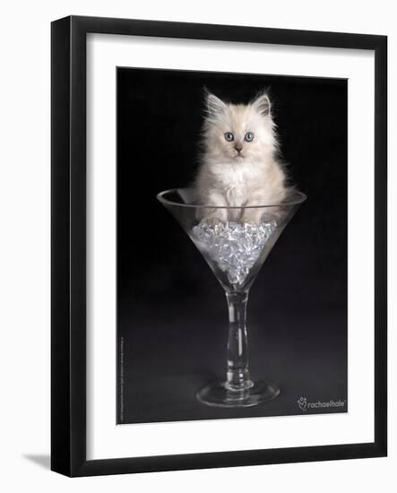 Uma-Rachael Hale-Framed Photographic Print