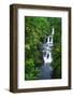 Umauma Falls along the lush Hamakua Coast, The Big Island, Hawaii, USA-Russ Bishop-Framed Photographic Print