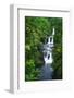 Umauma Falls along the lush Hamakua Coast, The Big Island, Hawaii, USA-Russ Bishop-Framed Photographic Print