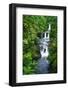 Umauma Falls along the lush Hamakua Coast, The Big Island, Hawaii, USA-Russ Bishop-Framed Photographic Print