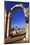 Umayyad Ruins, Anjar, Lebanon-Fred Friberg-Mounted Photographic Print