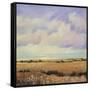 Umber Fields I-Tim O'toole-Framed Stretched Canvas