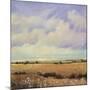 Umber Fields I-Tim O'toole-Mounted Giclee Print