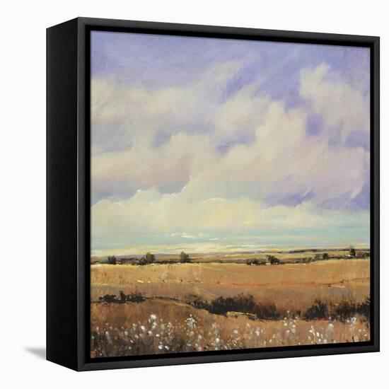 Umber Fields I-Tim O'toole-Framed Stretched Canvas