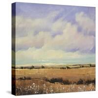 Umber Fields I-Tim O'toole-Stretched Canvas
