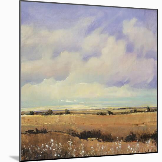 Umber Fields I-Tim O'toole-Mounted Giclee Print