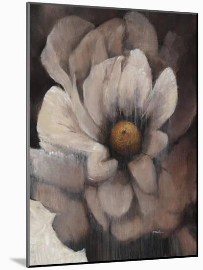 Umber Flower II-Tim O'toole-Mounted Giclee Print