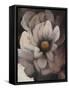 Umber Flower II-Tim O'toole-Framed Stretched Canvas