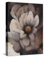 Umber Flower II-Tim O'toole-Stretched Canvas