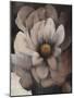 Umber Flower II-Tim O'toole-Mounted Giclee Print