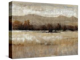 Umber Light I-Tim OToole-Stretched Canvas