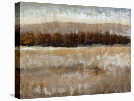 Umber Light II-Tim OToole-Stretched Canvas