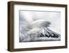 Umbrella Cloud Fuji-Takashi Suzuki-Framed Photographic Print