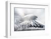 Umbrella Cloud Fuji-Takashi Suzuki-Framed Photographic Print