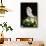 Umbrella Cockatoo (Cacatua Alba)-Lynn M^ Stone-Framed Stretched Canvas displayed on a wall