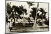 Umbrella Covered Tables under Palm Trees-null-Mounted Photographic Print