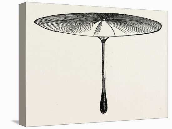 Umbrella for Hawks-null-Stretched Canvas