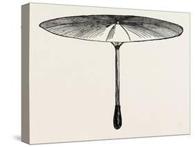 Umbrella for Hawks-null-Stretched Canvas